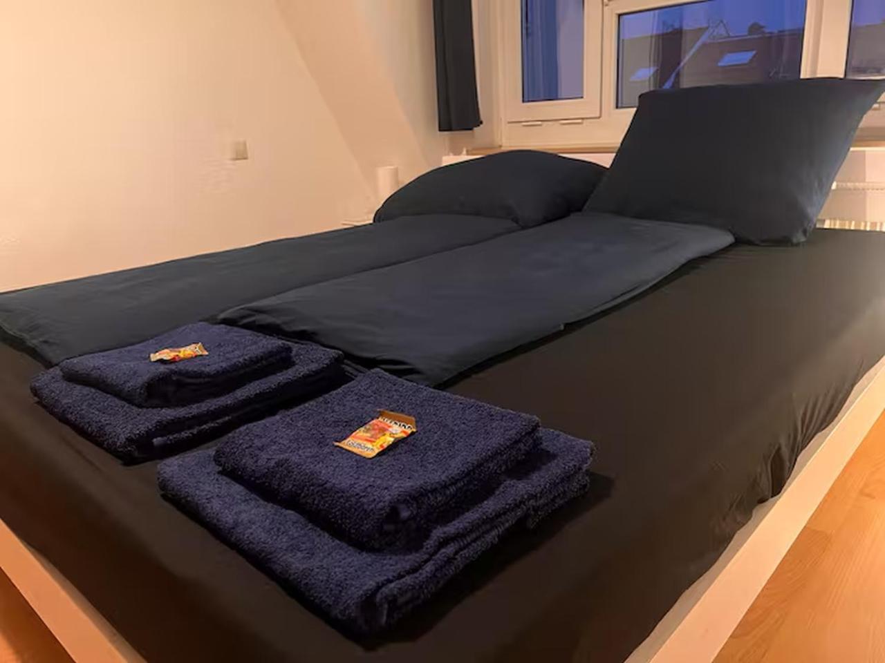 Wolfsbau - Direkt Im Zentrum, Hbf, Arena, Zoo Homestay *